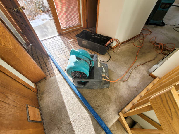 Best Wood Floor Water Damage Restoration in USA