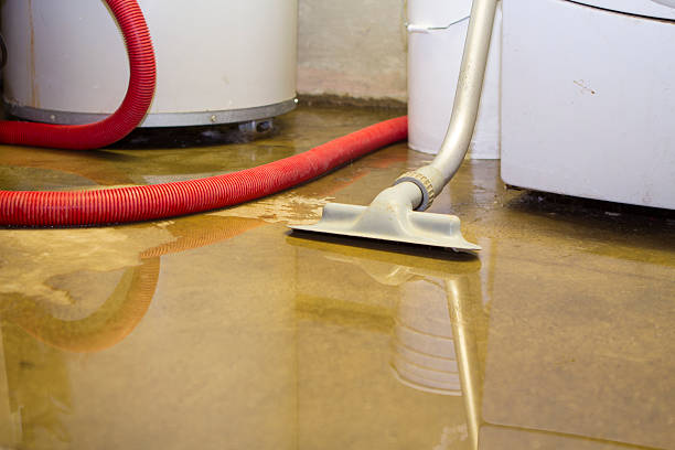 Best Basement Water Damage Restoration in USA